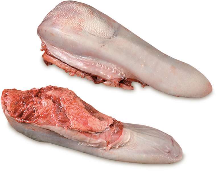 FROZEN-BEEF-TONGUE.jpg