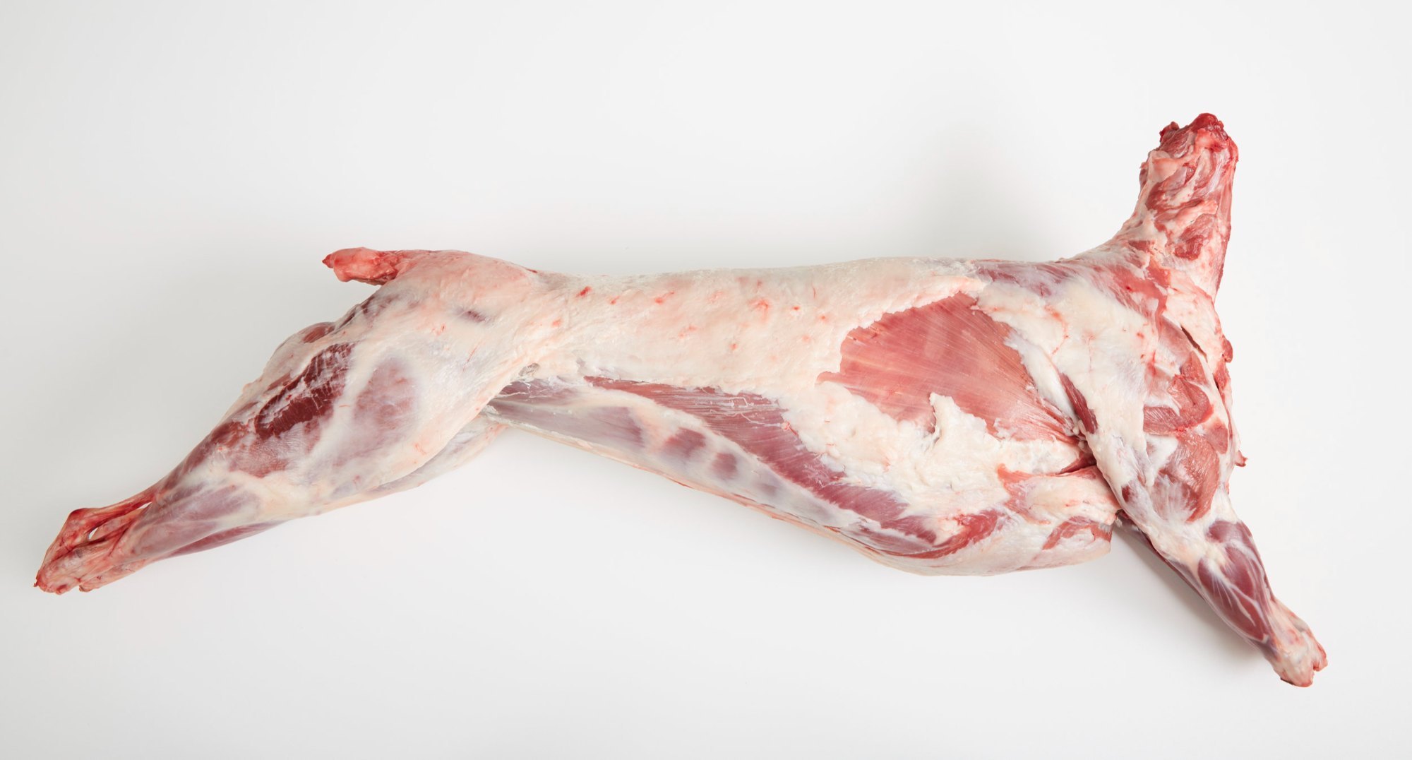 sheep-frozen-mutton-carcass.jpg